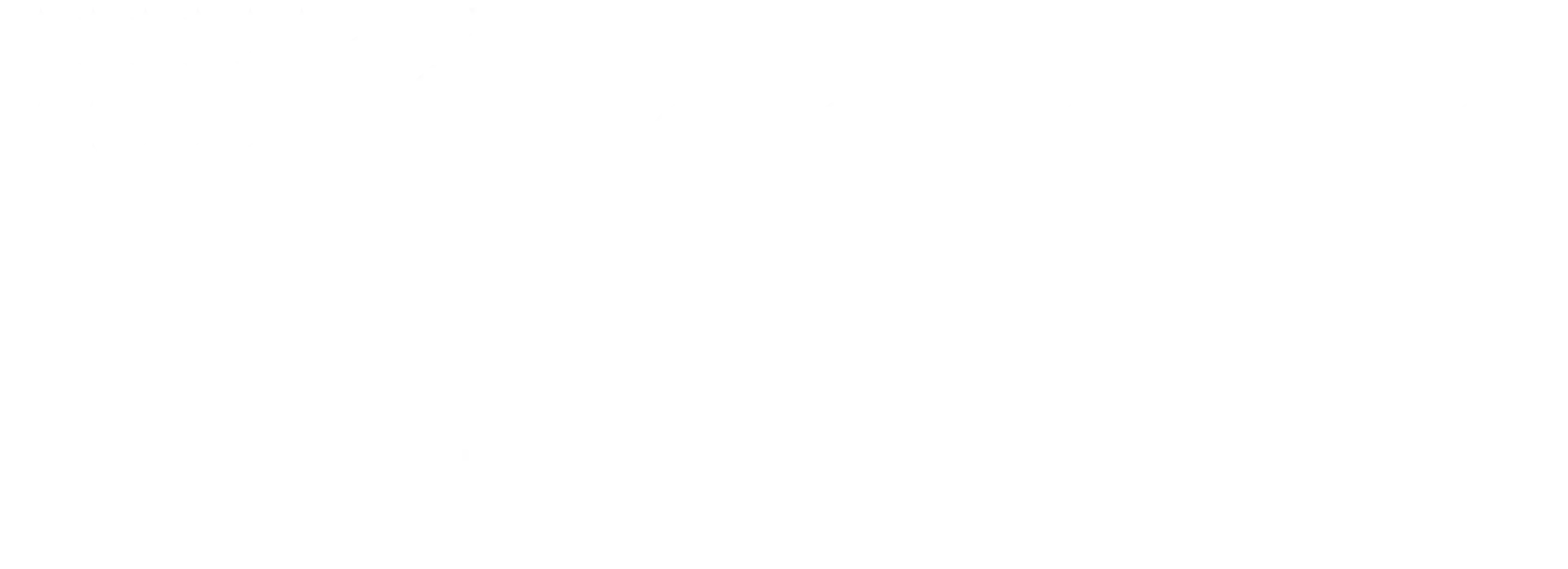 Octopus Bollywood Dance Academy USA